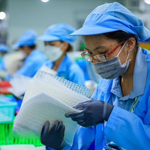 Wraps en papier de riz colorés et sains | Végétalien et sans gluten | Options d'emballage personnalisées - Product Image 6