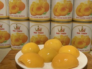 Sẵn sàng để ăn Đào Đóng Hộp trong xi-rô tốt nhất cho các nhà hàng bánh và cửa hàng sinh tố có sẵn để xuất khẩu - Product Image 2