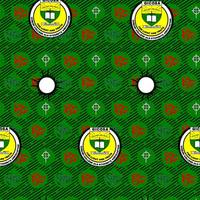 Tela de Algodón 100% con Estampado Africano Personalizado de Primera Calidad, Ankara Kitenge OEM ODM Nigeria Ghana Camerún Europa Israel Islas Hitjem