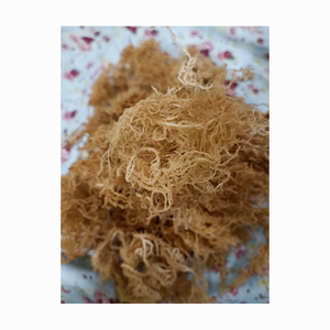 ต้นมอสทะเลทะเลจากเวียดนามแห้งจากพระอาทิตย์สีทองหรือสีขาวจากแสงอาทิตย์แห้งสะอาด Eucheuma cottonii chondrus - Product Image 5