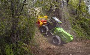 Machines forestières d'occasion Treemme MM200B avec moteur et composants de transmission - Product Image 3