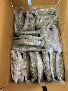 สมุนไพรสำหรับชงชาจากใบมะละกอสำหรับผู้ชายแบบแห้งตัวสกัดจากดอกบัวเวียดนามสีน้ำเงิน // Hani - Product Image 4