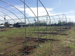 Kits de serres agricoles commerciales à simple travée et double couche en PE avec <span class=keywords><strong>tunnel</strong></span> en film <span class=keywords><strong>plastique</strong></span> <span class=keywords><strong>pour</strong></span> la culture de légumes et de fraises - Product Image 3