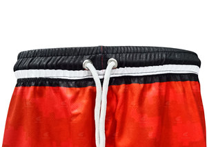 Shorts d'été pour hommes, nouvelle collection, prix de gros, shorts décontractés pour hommes, 100% coton, taille élastique, fabriqués par un fabricant professionnel - Product Image 5