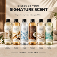 Huile de diffuseur sans eau de luxe 500 ml pour machine à parfum à air froid, 6 parfums pour hôtel et maison, en stock