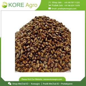 Bán buôn 100% tự nhiên tối ưu chất lượng cassia TORA hạt giống chiết xuất thảo dược từ Hoang Dã phát triển lá gia vị trong trống bao bì - Product Image 4