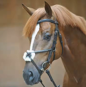 Nouveau professionnel de haute qualité en plein air équestre en cuir cheval bride personnalisation accepté en cuir cheval licou 2025 - Product Image 6