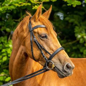 Bride en cuir de cheval 2019 de haute qualité Bride en cuir de cheval de haute qualité en cuir véritable - Product Image 4