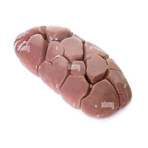 Exportateurs de rognons de bœuf congelés de qualité vers la Chine - Product Image 2