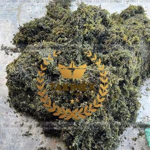 Algues marines séchées brutes pour l'alimentation animale - Fabricant d'algues marines du Vietnam - Product Image 1