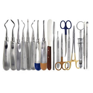 Juego de 15 instrumentos dentales: Elevadores, fórceps, espejos, sondas, exploradores, pinzas endodónticas, punzones de acero inoxidable - Product Image 1