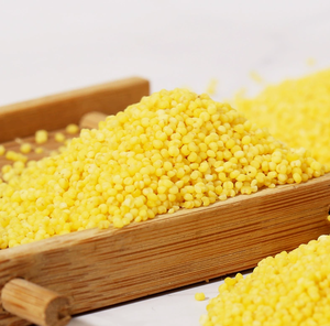 Hight Quality New Crop Wholesale Xiaomi <b>Millet</b> For Wholesale - Product Image 2