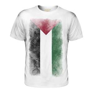Camiseta pesada GSM de alta calidad para hombre, Camiseta 100% de algodón transpirable con estampado de bandera palestina, diseño de bandera desvanecida - Product Image 3