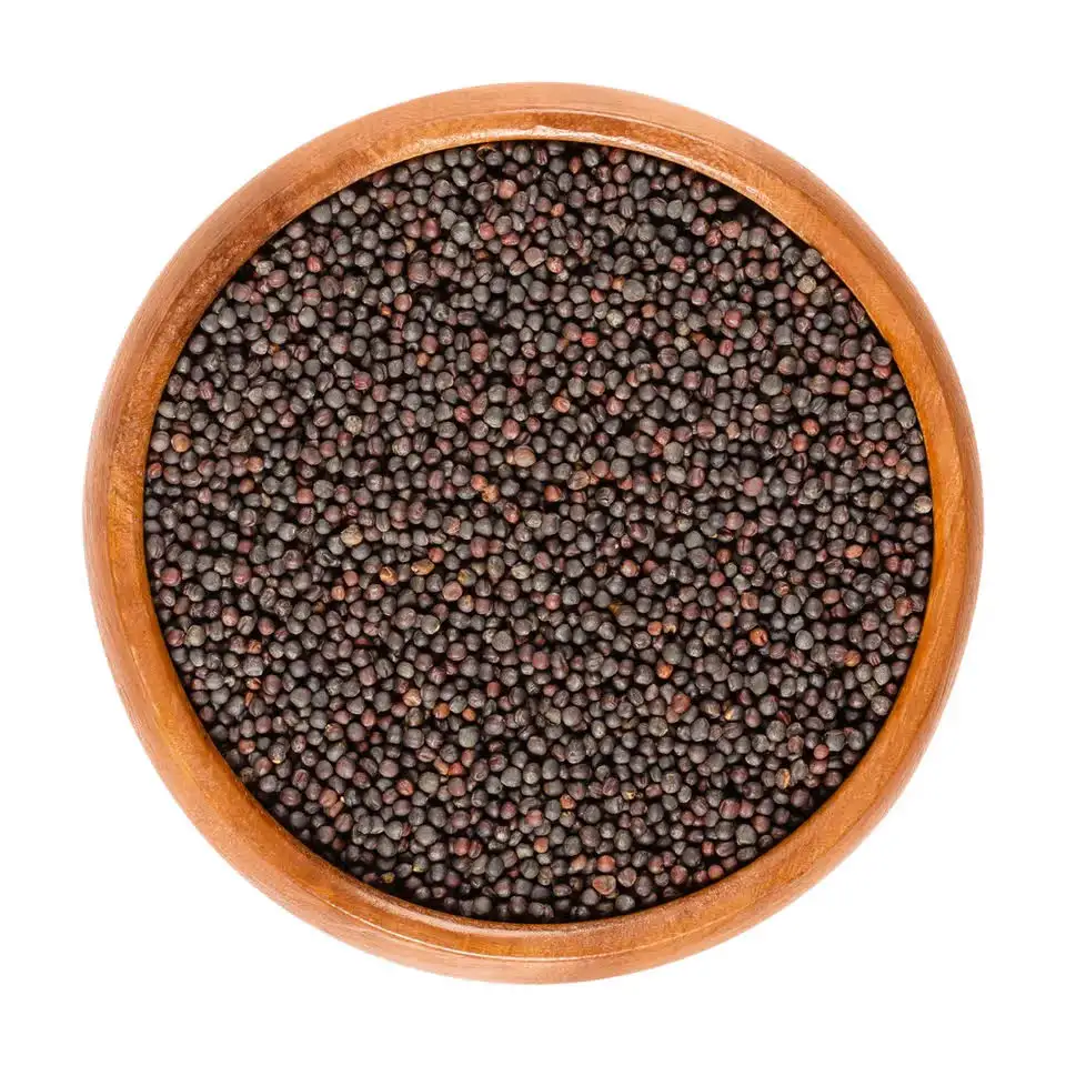 Semillas de colza/semillas de canola de pureza 99.99%, suministro del fabricante