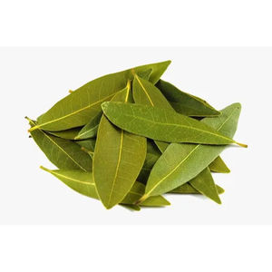 100% huile essentielle de feuille de laurier pure en gros huile essentielle de feuille de laurier en vrac huile essentielle de feuille de laurier naturelle et pure - Product Image 3