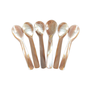Cuillères de nacre en gros Offre Spéciale: cuillères de coquillage et de conque de haute qualité, réutilisables et écologiques. - Product Image 2
