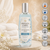Aromatizante en Aerosol para Ropa de Marca Privada, 100 ml, OEM |   Spray Aromatizante para el Hogar con Aroma a Lino Fresco |   España UE