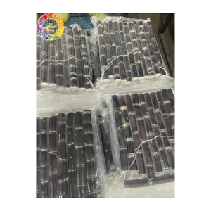 La canne à sucre fraîchement congelée bloque la douceur naturelle de qualité supérieure pour les boissons et les créations culinaires - Product Image 4