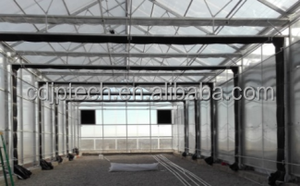 Serra Multi-Campata in Policarbonato con Automazione per Oscuramento, Serra con Tende Oscuranti per Coltivazione di Ortaggi - Product Image 5