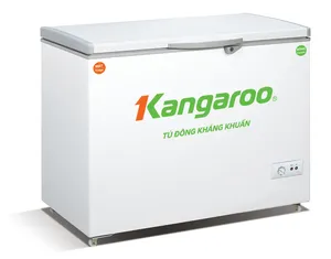 Cheap high quality chest freezer high capacity 150L 200L 300L two doors