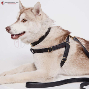 Laisses pour chiens en PU colorées personnalisées, grands colliers en cuir, motifs de créateurs en direct d'usine, disponibles en gros - Product Image 6