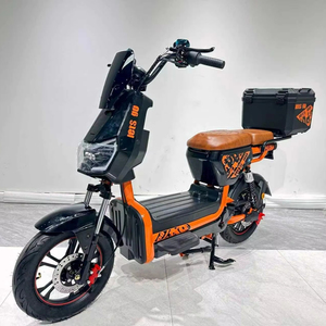 Nouveau Vélo Électrique avec Coffre Arrière, Moteur Économe en Énergie 48V 6:800W, 24 Vitesses, Affichage Numérique Double - Product Image 1