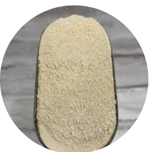 Poudre d'algues irlandaises biologiques / Extrait de Chondrus Crispus 100% pur / Ms. Shyn - Product Image 2