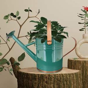 Latas japonesas de agua negra de acero con recubrimiento en polvo ecológicas de gran capacidad de 8L para uso doméstico en el jardín - Product Image 5