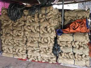 Prix d'usine – Matière première naturelle en jonc de mer séché, cordon et ficelle en jonc de mer pour la fabrication de chaises, paniers, pantoufles et sandales 99GD - Product Image 3