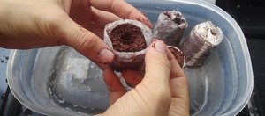 Tabletas de turba de Coco para exportación desde Vietnam/turba de coco con precio competitivo y alta calidad/pellet de fibra de coco - Product Image 6
