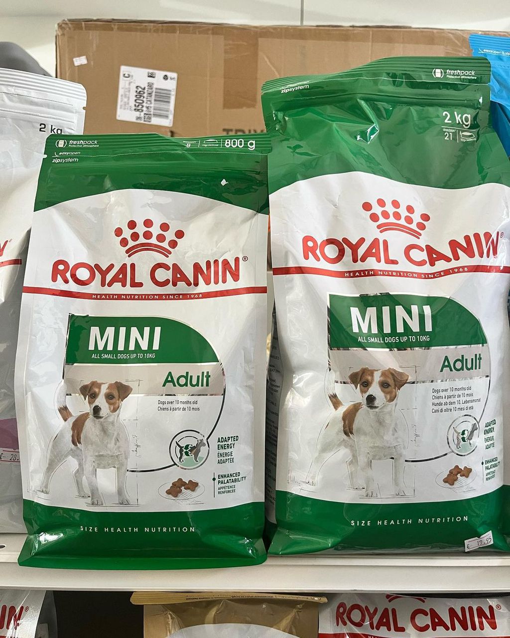 Royal Canin อาหารสุนัขแห้งขนาดกลางสำหรับผู้ใหญ่ | สั่งอาหารขายส่ง Royal Canin | ซื้ออาหารแมว Royal Canin