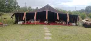 Tiendas de campaña de pelo de cabra del Sahara: refugios tradicionales nómadas del desierto adaptados al clima, la cultura y la vida sostenible en el norte de África - Product Image 2