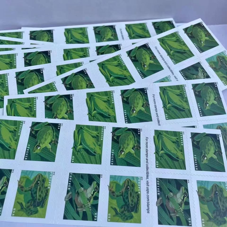 2019 Frogs 500374-E9-50-19QW
