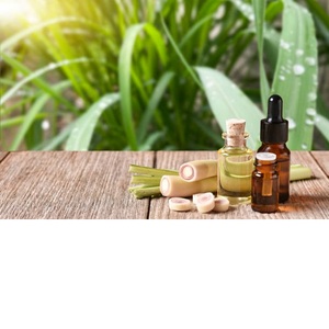 Aceite esencial de limoncillo natural puro 100% cultivado salvaje en la India, precio al por mayor en botella, lata y embalaje de tambor - Product Image 2