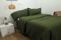 Parure de lit de luxe 3 pièces en coton doux 100% anti-bactérien, style européen-américain, vert mousse, housse de couette pour hôtel, mariage et maison