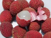 Fruits de litchi frais du Vietnam de haute qualité pour l'exportation - Prix compétitif // M. Alex Truong