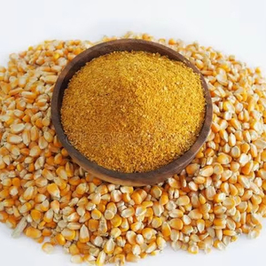 Maïs de qualité supérieure de qualité alimentaire animale DDGS Distillateurs d'aliments pour volailles et maïs Céréales séchées au prix le plus bas pour l'exportation - Product Image 1