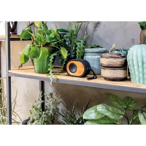 Accessoires d'instruments de musique personnalisés en bambou écologique X Speaker - Product Image 3