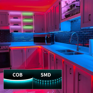 Smart Rgb Led Cob Light 1838 Ic Dc 5V 5Mm Pcb Pixel Adresseerbare 160 Leds/<span class=keywords><strong>M</strong></span> Full Droom Kleur Led Strip Tape Voice Control Ip67 - Product Image 6