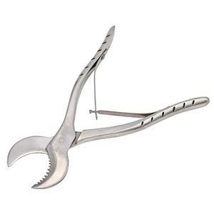 Ciseaux de gypse de laboratoire dentaire de 20cm de long en acier inoxydable, matériel dentaire pour équipement de laboratoire, 1 pièce - Product Image 6