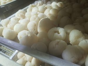 Lichi Congelado de Alta Calidad, Proveedor de Vietnam, Envío Rápido, Suministro Estable a Todo el Mundo - Product Image 3