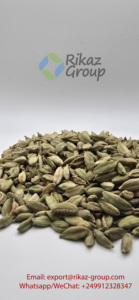 Vente en gros de cardamome verte pure de qualité supérieure provenant directement de la Tanzanie Produit agricole - Product Image 3