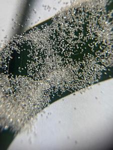 Abrasifs de qualité industrielle Heera Bhasma pour laboratoire Pharma électronique aérospatiale 100 Ct quantité minimale de commande - Product Image 3