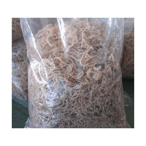 Mousse de mer dorée vietnamienne Bon prix/Mousse de mer salée En gros/Algues Eucheuma Cottonii Bon prix Haute qualité 2025 - Product Image 5