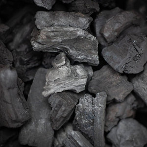 ถ่านบาบีคิวแบบสำเร็จรูป: ผู้ค้าส่งคุณภาพสูงและผู้จัดจำหน่ายจำนวนมากสำหรับการย่างที่ต้องการ - Product Image 2