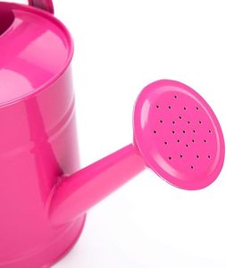 Grand arrosoir en laiton véritable de qualité Pouce rose élégant pour les jardins luxuriants et les maisons pour l'entretien des pots de fleurs en plein air - Product Image 5