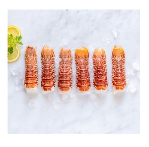 Langostas Sur-Africanas Congeladas Premium para Exportación, Suministro al por Mayor para Restaurantes, Hoteles y Distribuidores de Mariscos - Product Image 1