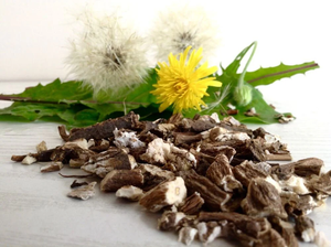 Raíz de Diente de León Seca de Vietnam para Té Desintoxicante, Raíz de Diente de León Seca al por Mayor ANGLE - Product Image 4