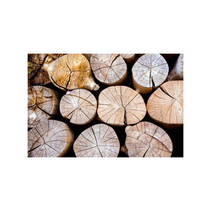 Bois de chauffage de qualité supérieure pour les supermarchés camping et fournisseurs de carburant - Product Image 3