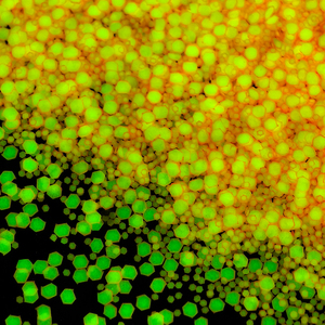 Glitter Olografico Esclusivo Luminoso 200+ Colori, Mix Natalizi LED per Globo di Neve, Regalo Fai-da-Te, Artigianato - Product Image 1